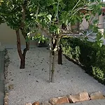 Agrumeto Latiano
