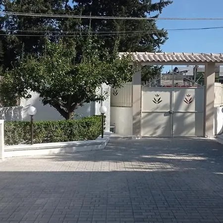 Agrumeto