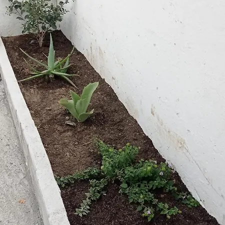 Agrumeto 度假居 Latiano